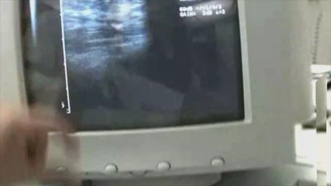 23327